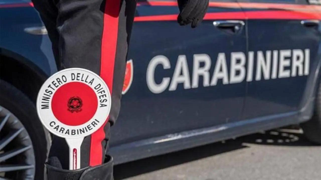 Immagine selezionata